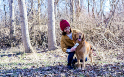 Red Light Therapy Safe Device for Pets